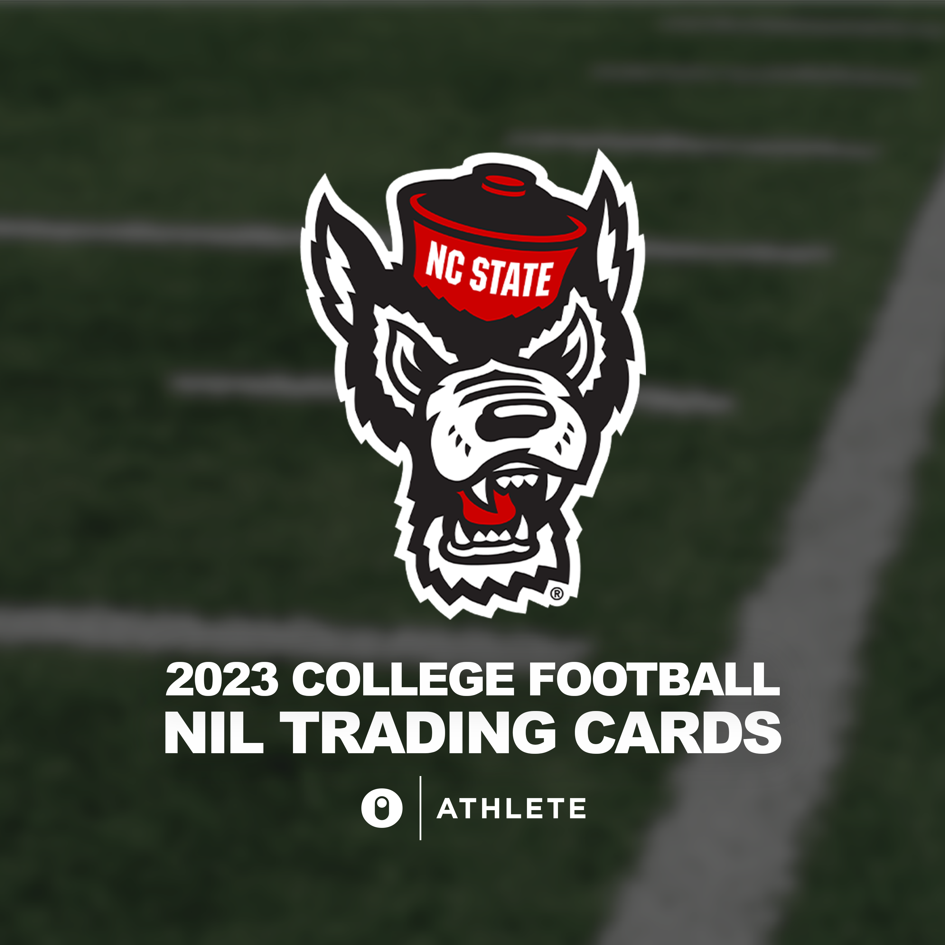 The Ohio State University® NIL Football - 2023 Whole-Team Trading Card  Series