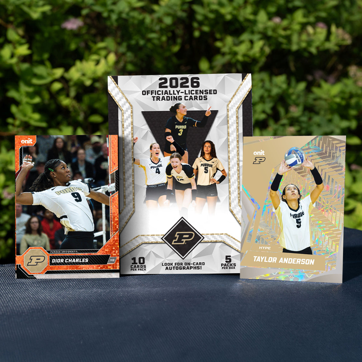 purduevb#format_blaster box