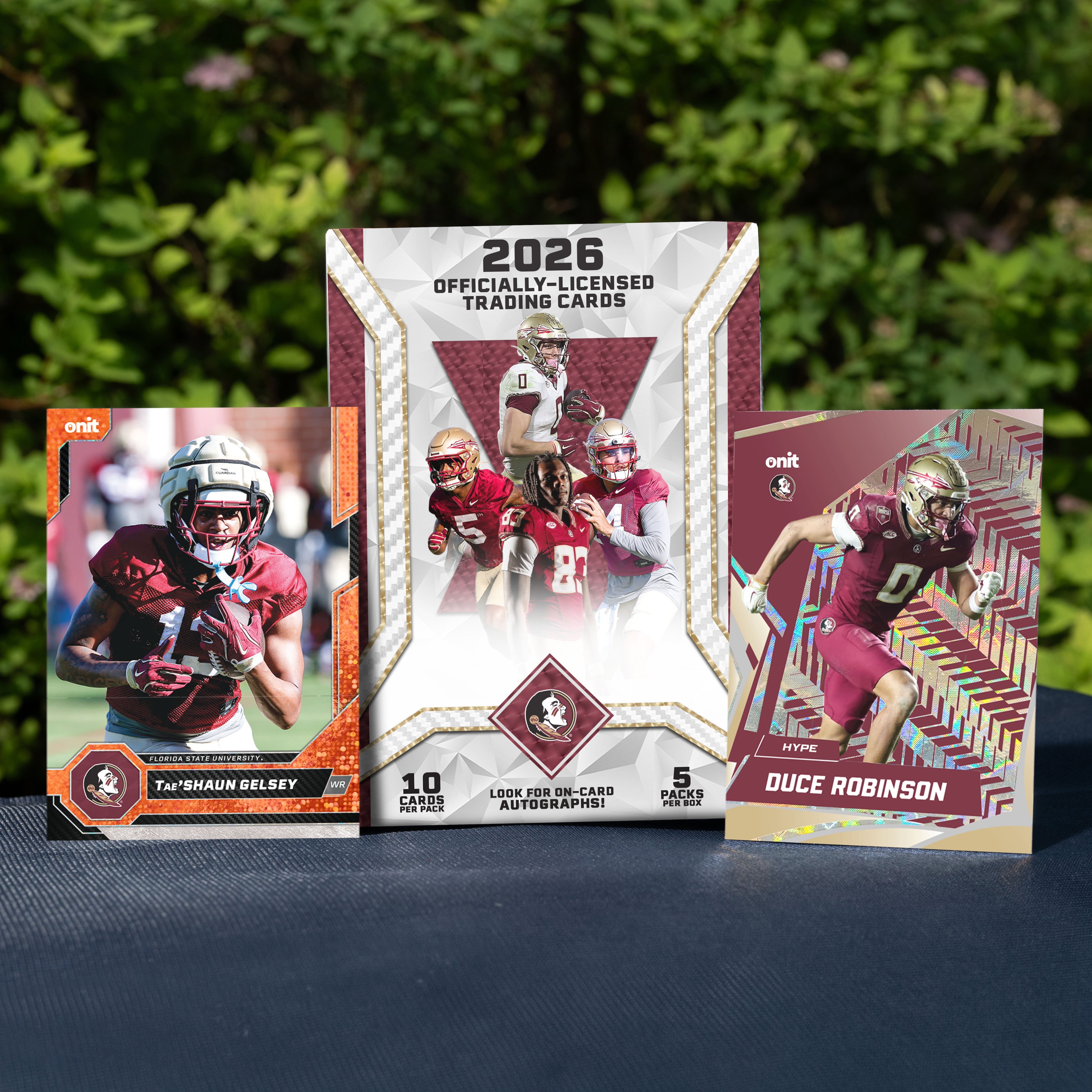 fsu#format_blaster box
