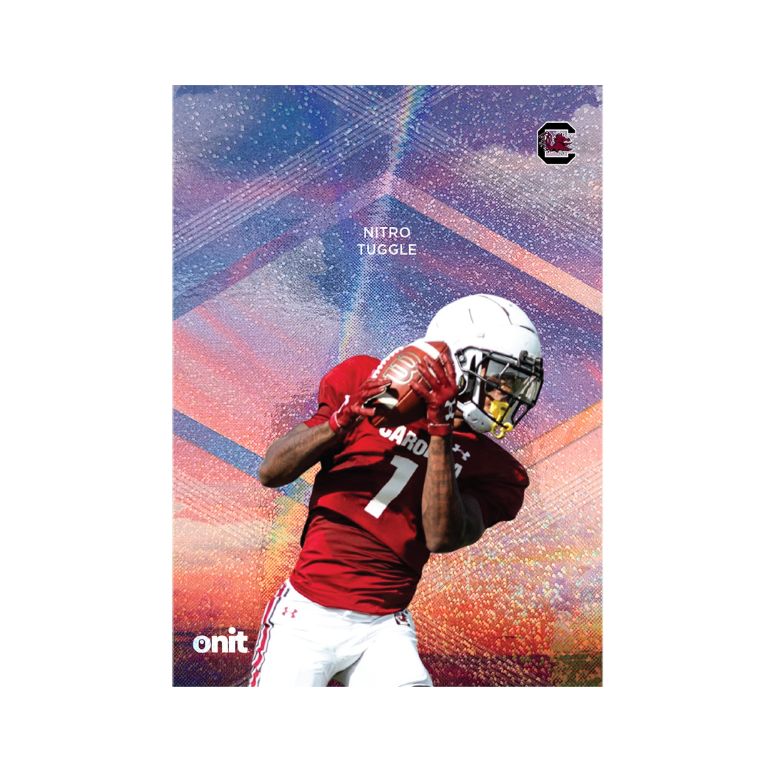 University of South Carolina Football 2026 Team Trading Cards